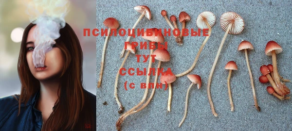 а пвп мука Пролетарск