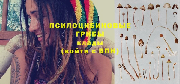 дмт Протвино