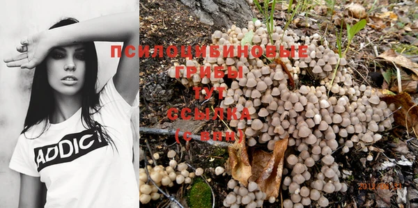 кокаин Белокуриха