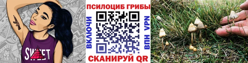 Псилоцибиновые грибы GOLDEN TEACHER  Облучье 